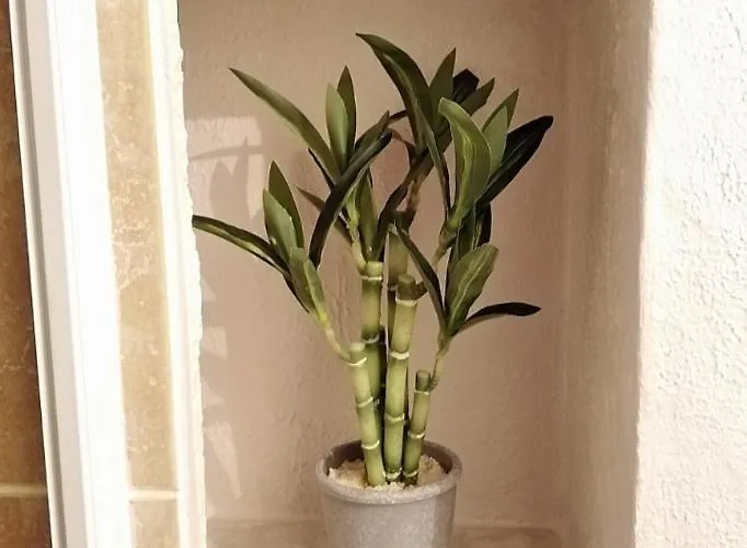 Apartamento T1 Quartier Chateau De